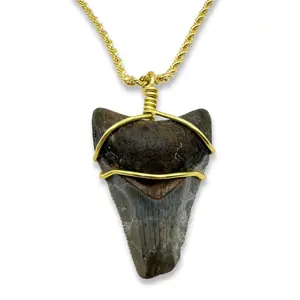 14K Gold Filled Rope Chain Megalodon Necklace with Authentic Pendant, Durable & Lightweight Design, Ideal Gift or Personal Jewelry Versatile