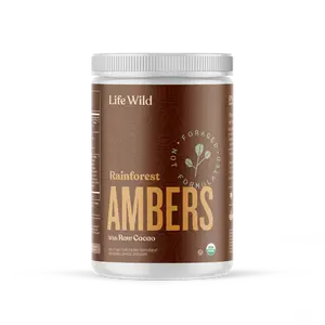 Rainforest Ambers
