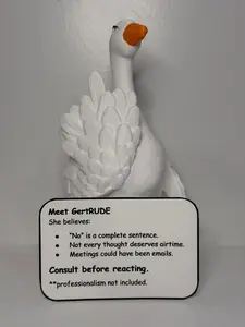 GertRUDE Support Goose