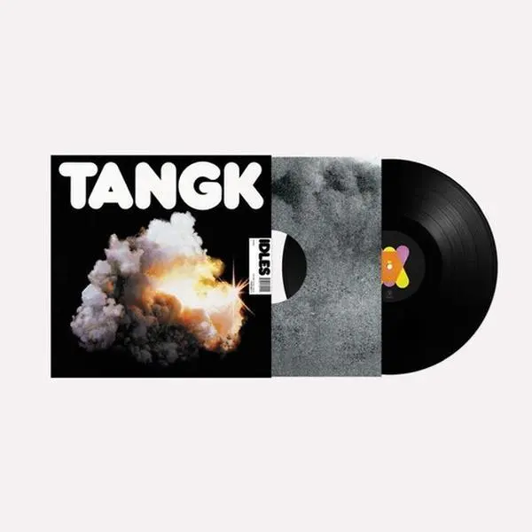 Idles - Tangk (Vinyl LP) - Vinyl Record Album
