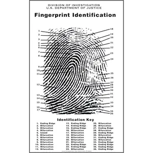 Fingerprint Chart, Poster Size 24" by 36"