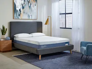 ChiroPro Firm Mattress