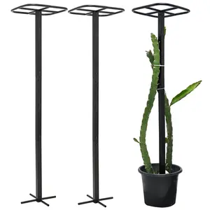2-Pack Metal Dragon Fruit Trellis - Durable Vertical Garden Support for Climbing Plants, Easy to Assemble, 12x12x50 Inches for Dragon Fruit Enthusiasts
