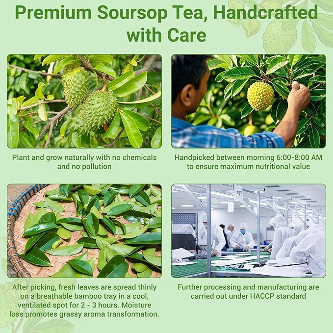 40 Premium Soursop Graviola Leaf Tea Bags, 100% Natural Pure Hoja Guanabana Tea, Handmade Detox Calm Sleep Tea, Sugar & Caffeine Free, Corn Fiber Tea Bags