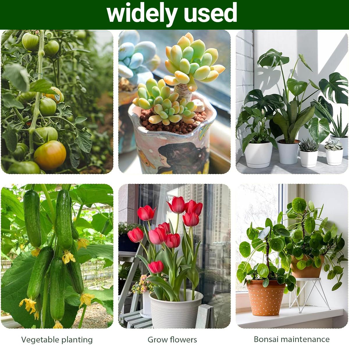 6 Pack Stackable Monstera Plant Support Stakes - Garden Trellis for Indoor & Outdoor Climbing Plants, Pothos & Philodendron 6 Pack Stackable Monstera Plant Support Stakes - Garden Trellis for Indoor & Outdoor Climbing Plants, Pothos & Philodendron