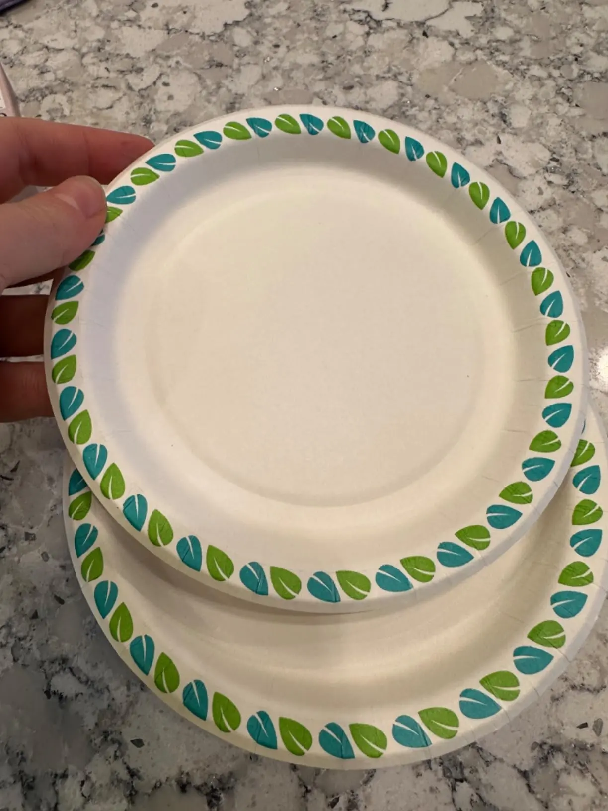 40 Count 6 Inch Compostable Printed Small Microwave Safe Plates Paper Plates