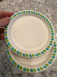 40 Count 6 Inch Compostable Printed Small Microwave Safe Plates Paper Plates