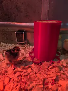 Large Chick Feeder - 3qt (12cup) Capacity