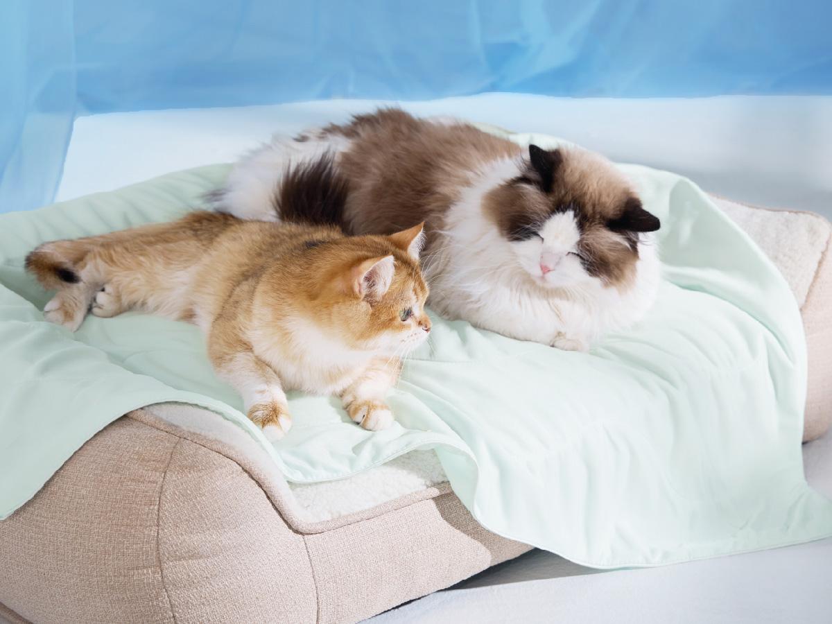 Bedsure Premium Cooling Lightweight Blanket for Pet - Q-MAX>0.4 Breathable Summer Washable Cold Pet Throw Blanket, Soft Durable Self Cooling Cat Dog Mat for Hot Weather