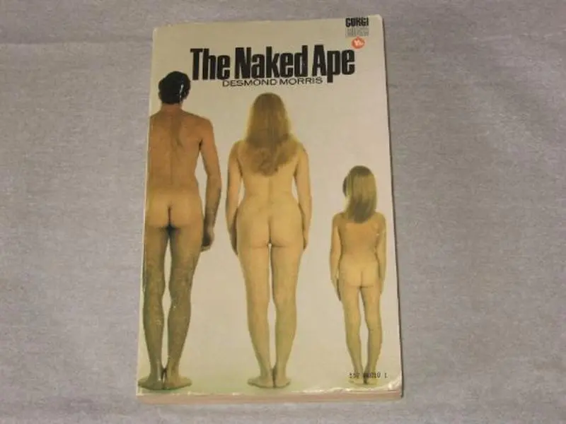 The Naked Ape: A Zoologist's Study Of The Human Animal by Desmond Morris (Paperback) - Used