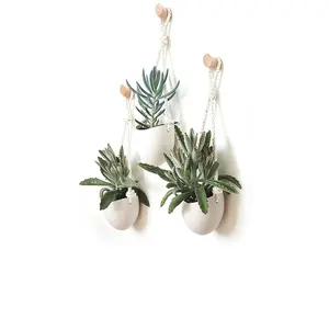 Light + Ladder Spora Hanging Planter & Maple Hook Set in Snow