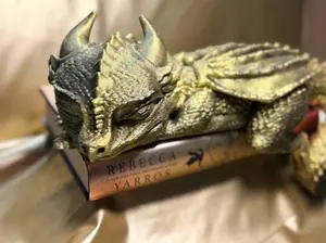 Fourth Wing Inspired Sleeping Andarna Dragon Book or Shelf
