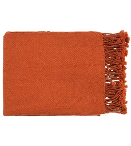 Livabliss Turner 50"W x 60"L Solid and Border Burnt Orange Throw Blankets