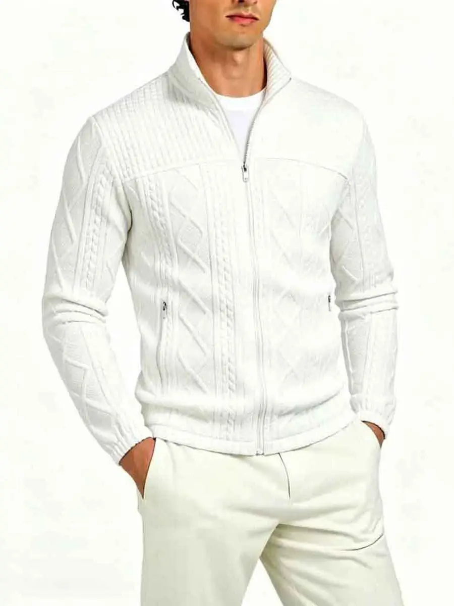 Men's Cable Knit Zip Cardigan Jacket with Stand Collar, Preppy Minimalist Textured Knit, Lightweight Wrinkle-Free Formal Outerwear for Business Layering, Smooth, Tops, Slacks, Sleeves, Menswear, Fabric, Straight, Office, Elegant, Long Sleeves, Knitwear, G