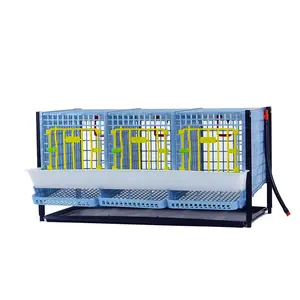 Partridge Cage - Layer Addition - Expandable Partridge Cage Addition for Growing Flocks