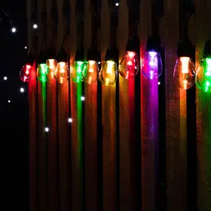 10 LED Outdoor String Light-Multicolor