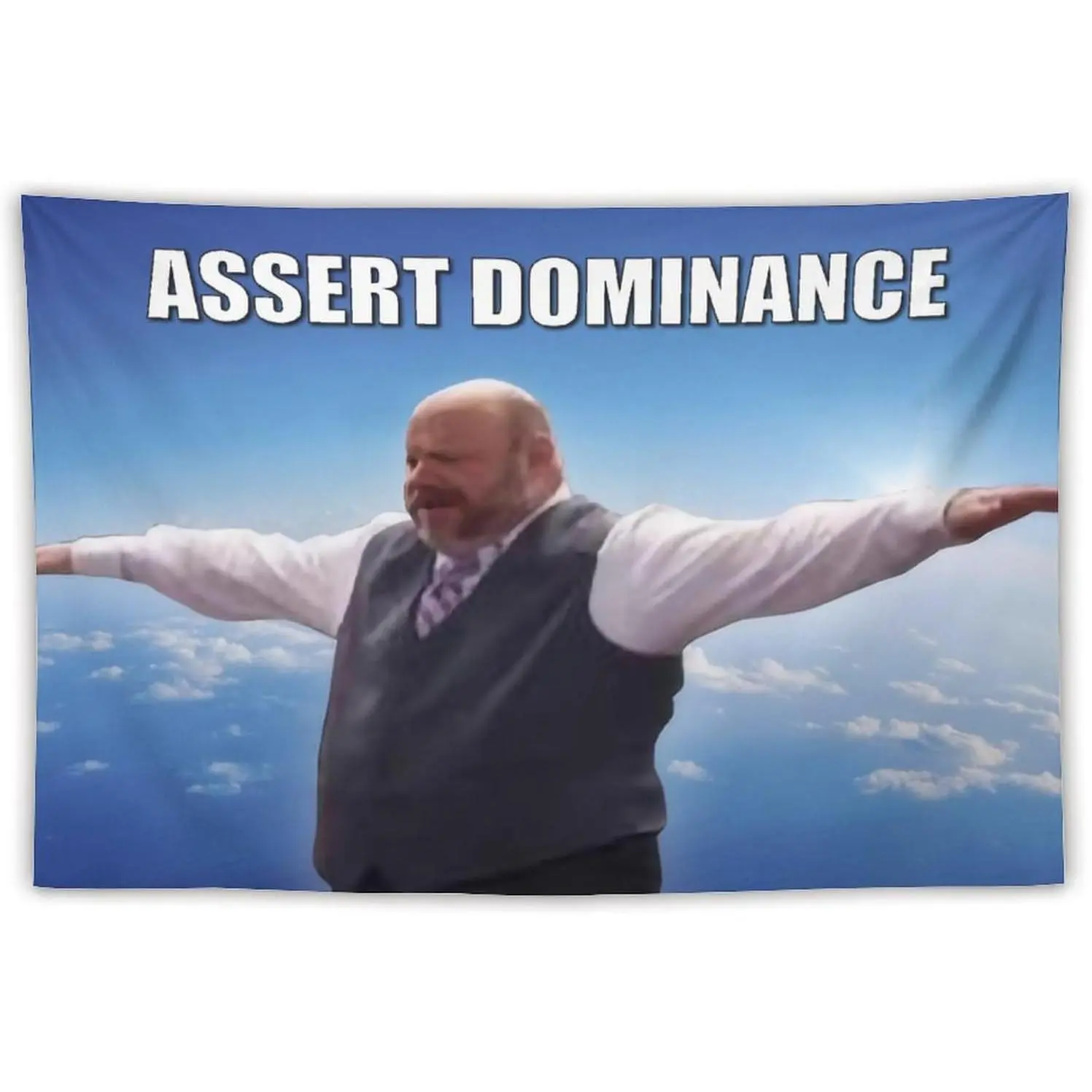 BionZax Bertram Superior Assert Dominance Tapestry for College Dorm, Bedroom and Living Room Home Decor 40"x60", Meme Funny Wall Tapestries Hanging for Giftschic design  room bedroom