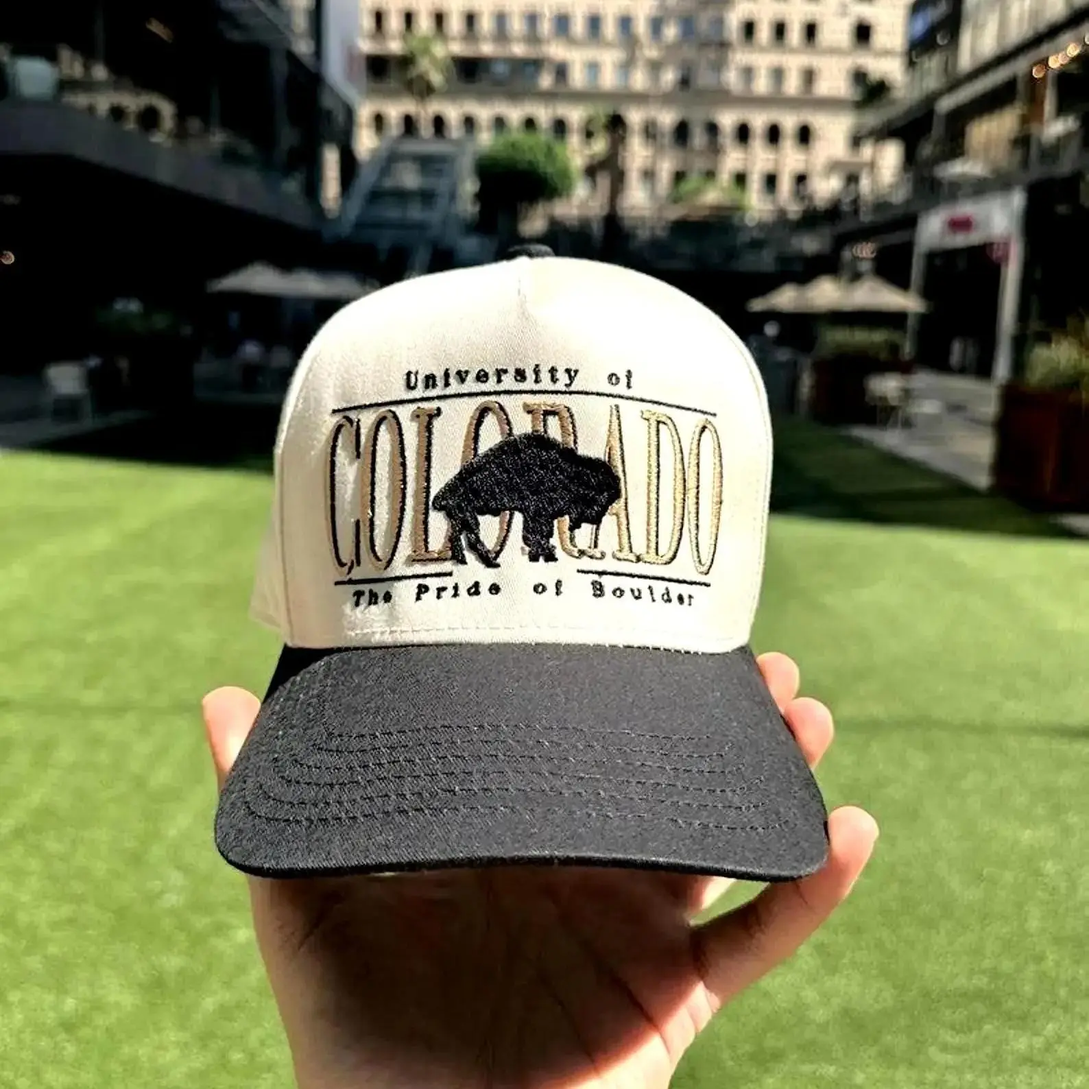 Generic 90s Vintage Colorado Buffalo Embroidered Snapback Hat, Retro Trucker Style Streetwear Baseball Cap, Gift for H