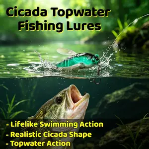 5Pcs Cicada Topwater Fishing Lures Set, Hard Bass Baits with Internal Rattles for Enhanced Fish Attraction, 3D Holographic Eyes, Lifelike Swimming Action, Sharp Anti-Rust Treble Hooks with Storage Box for Bass Trout Panfish Freshwater Saltwater Fishing