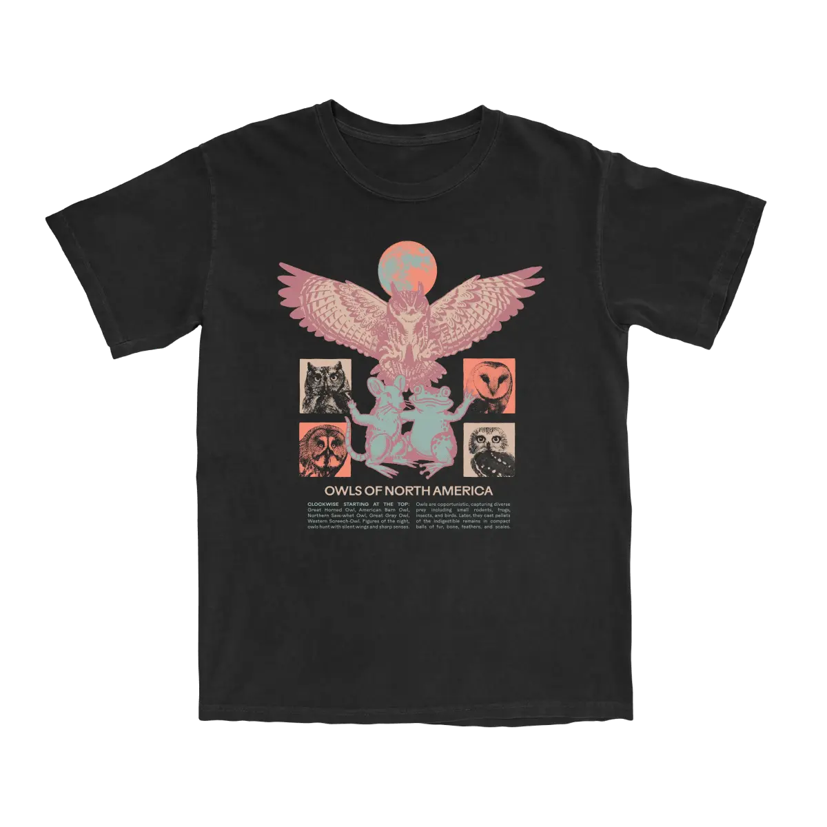 Owls of North America Tee Streetwear Everyday Outfit Tshirt, Sleeve, Casual, Shortsleeve, Round Neck