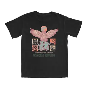 Owls of North America Tee Streetwear Everyday Outfit Tshirt, Sleeve, Casual, Shortsleeve, Round Neck