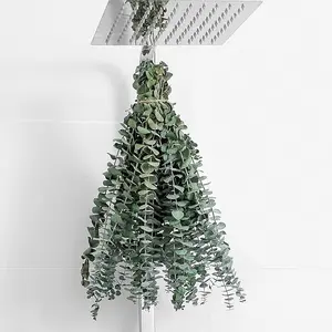 10 Pcs Dried Eucalyptus Stems 17" Eucalyptus for Shower Hanging From Fresh Eucalyptus Leaves, Wedding Decor Home Decor Farmhouse Decor DIY Spring Decor,Green. Dried Flowers