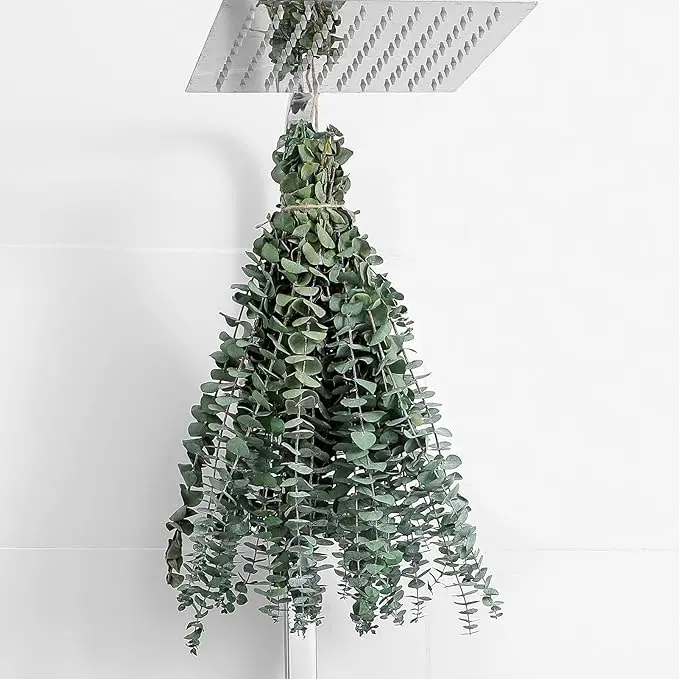 10 Pcs Dried Eucalyptus Stems 17" Eucalyptus for Shower Hanging From Fresh Eucalyptus Leaves, Wedding Decor Home Decor Farmhouse Decor DIY Spring Decor,Green. Dried Flowers
