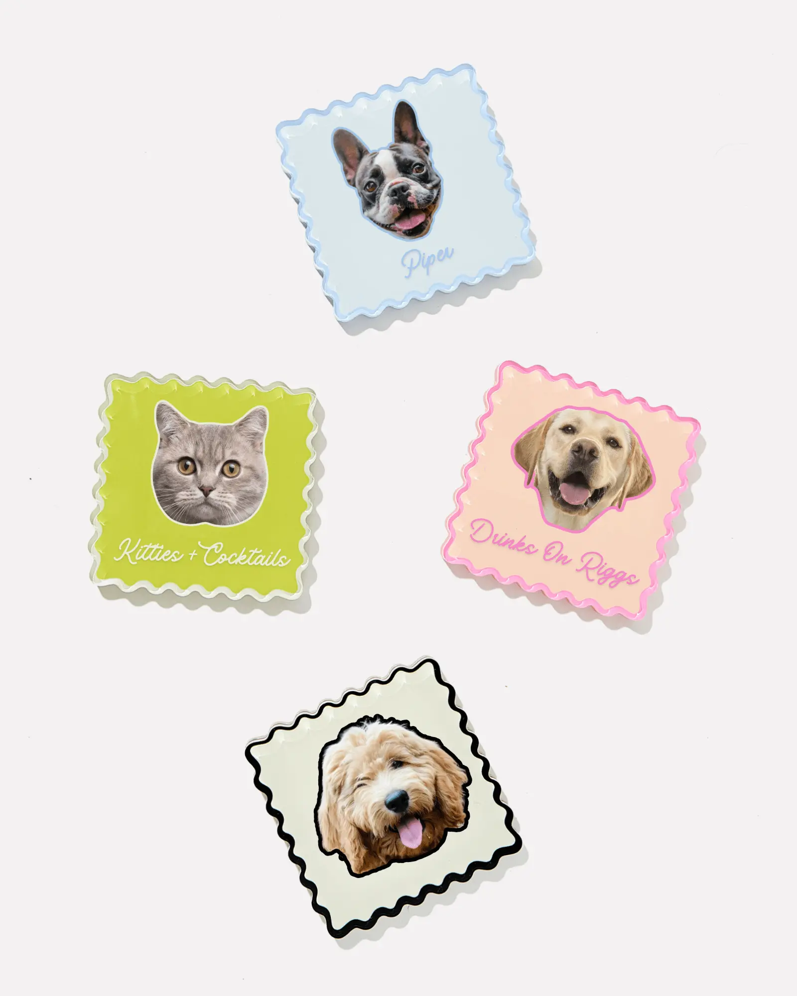 Fluffy Friends Custom Pet Coasters