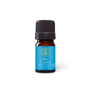 Blue Cypress Essential Oil for Aromatherapy Solution Wellness Therapeutic Natural