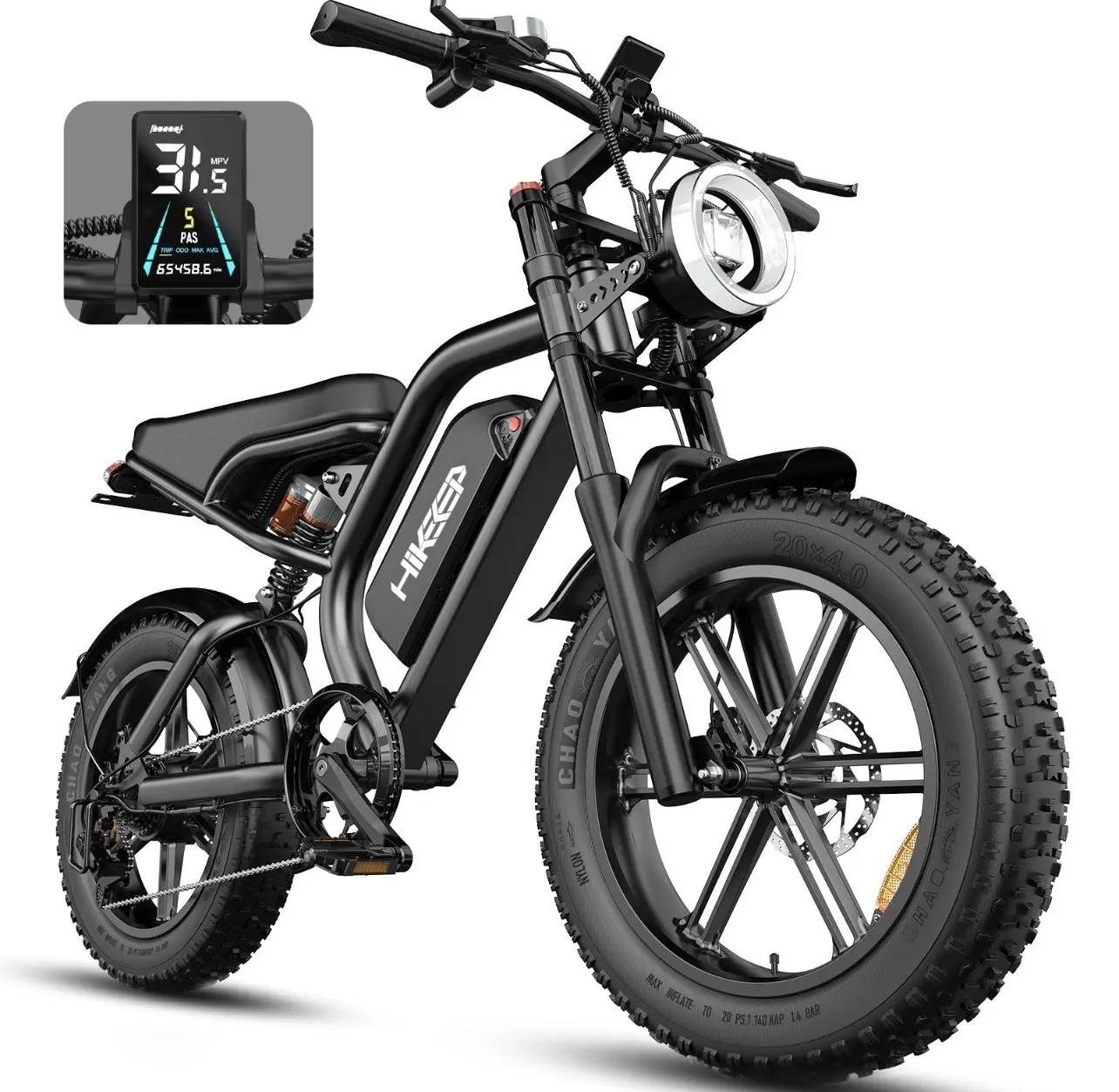 Hikeep Electric Bike 20'' 48V 15Ah ebike Fat Tire 1000W Peak for Adults