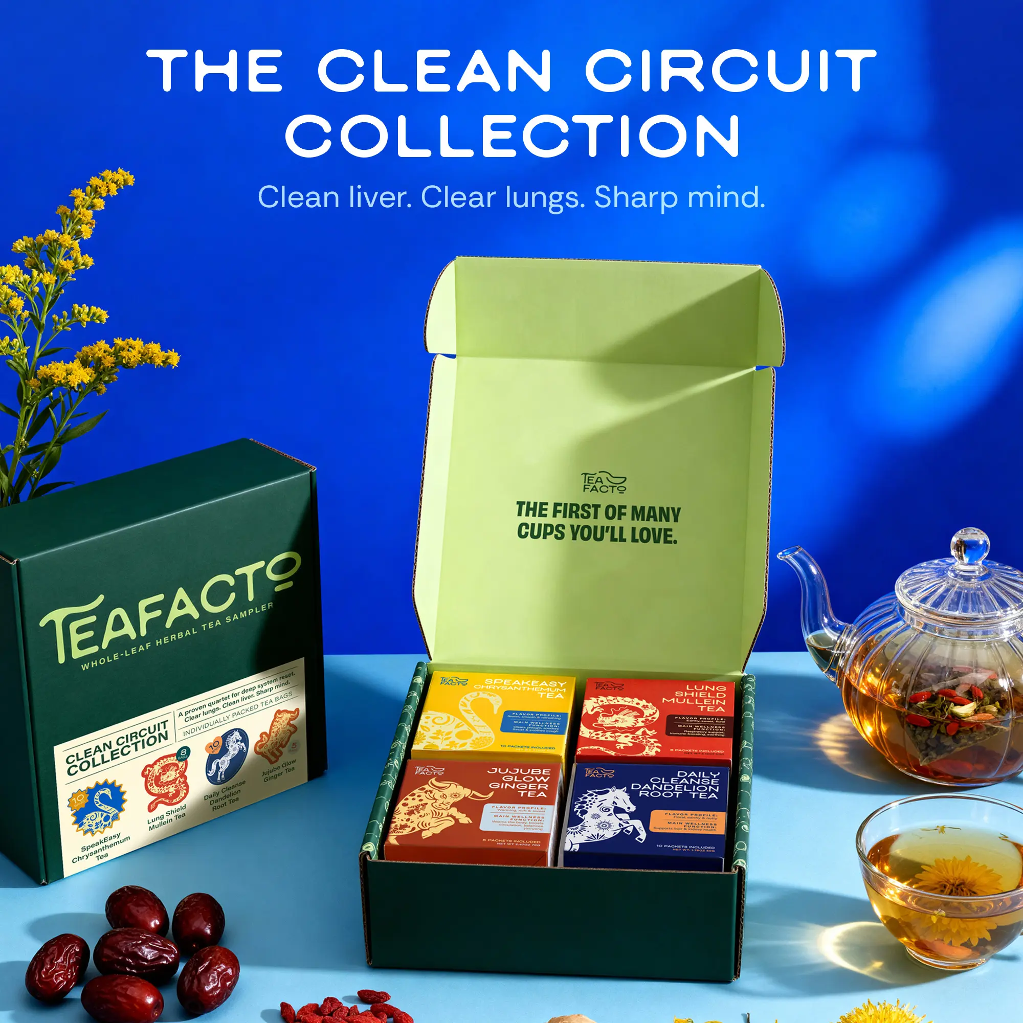 Clean Circuit Tea Collection for Liver Detox & Cleanse