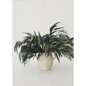 Preserved Weeping Willow Eucalyptus - 16-22"