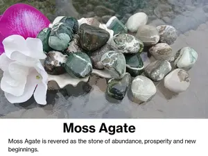 Tree Moss Agate Loose Tumbled Gemstones Naturals for New Beginnings Rejuvenation and Tranquility