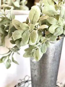 20" Lambs Ear Single Stem