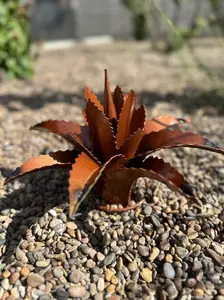 Mini Metal Agave - Handmade Tequila Yard Art, Weather-Resistant, Rust-Proof, No Tools Needed, Perfect for Gardens & Patios, High-Quality, Environmentally Friendly, Ideal Gift