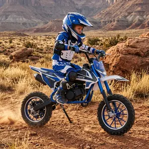 Blue Ride-On Toy Bike & Classic Model Gift for Childhood Summer Days outdoorsun