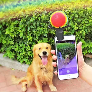Camera Ready Pet Prop! Photo Props Toy Photo Selfie Artifact Dog Camera Phone Clip Tennis Ball Selfie Sale