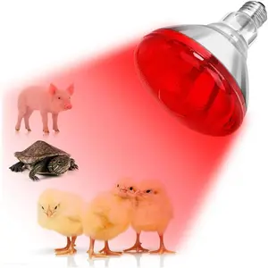 150W Red Infrared Heat Lamp Bulb 1 Pack Flood Heating Bulb for Brooder Coops Pets Chicks Reptiles Food Service