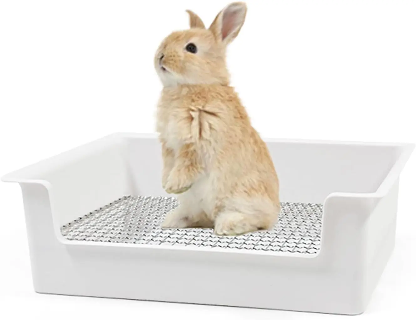 Steel Grids  Litter Box - Bunny Litter Pan  Box, 15x11x4.7 inches, 1cm Holes Steel Mesh for Small , Orange (White)
