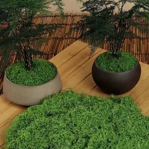 Realistic Artificial Moss, Lifelike Green Faux Moss Grass for DIY Crafts & Home Decor, Fake Greenery Plants, Perfect for Miniature Landscape, Fairy Garden, Wedding Decoration, Christmas & New Year Party Props, Versatile Greenery Decor