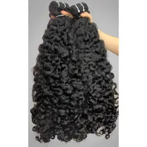Burmese Curly-  3 BUNDLE DEAL