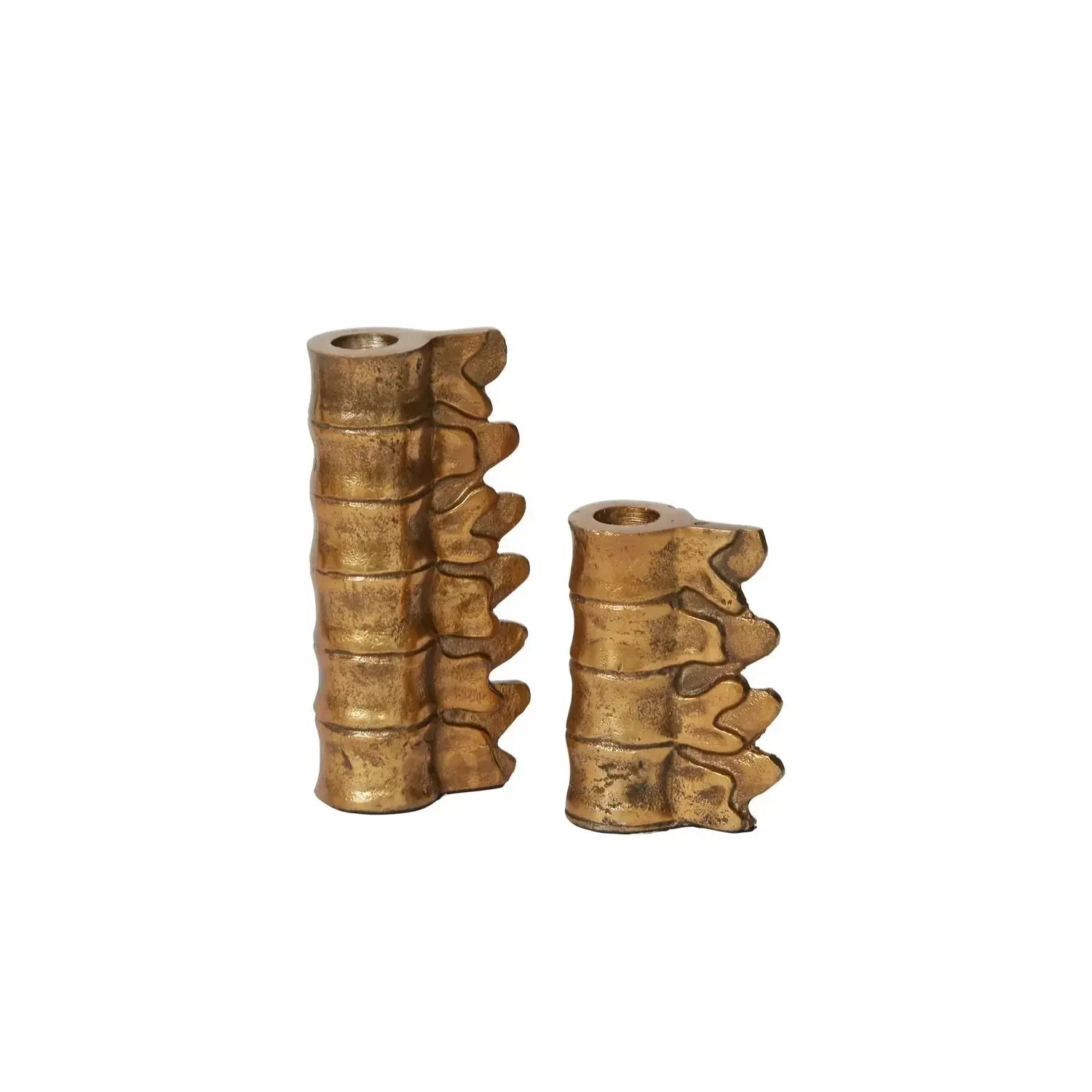 Antiqued Gold Lumbar Spine Gothic Candle Holder Halloween Decorative Object