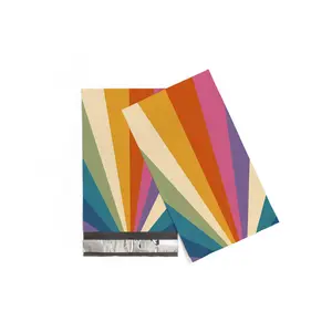 Retro Rainbow 6x9 Polymailer for Office Supplies