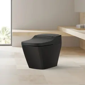 VOVO Bidet Toilet TCB-090SA(B) - Made in Korea