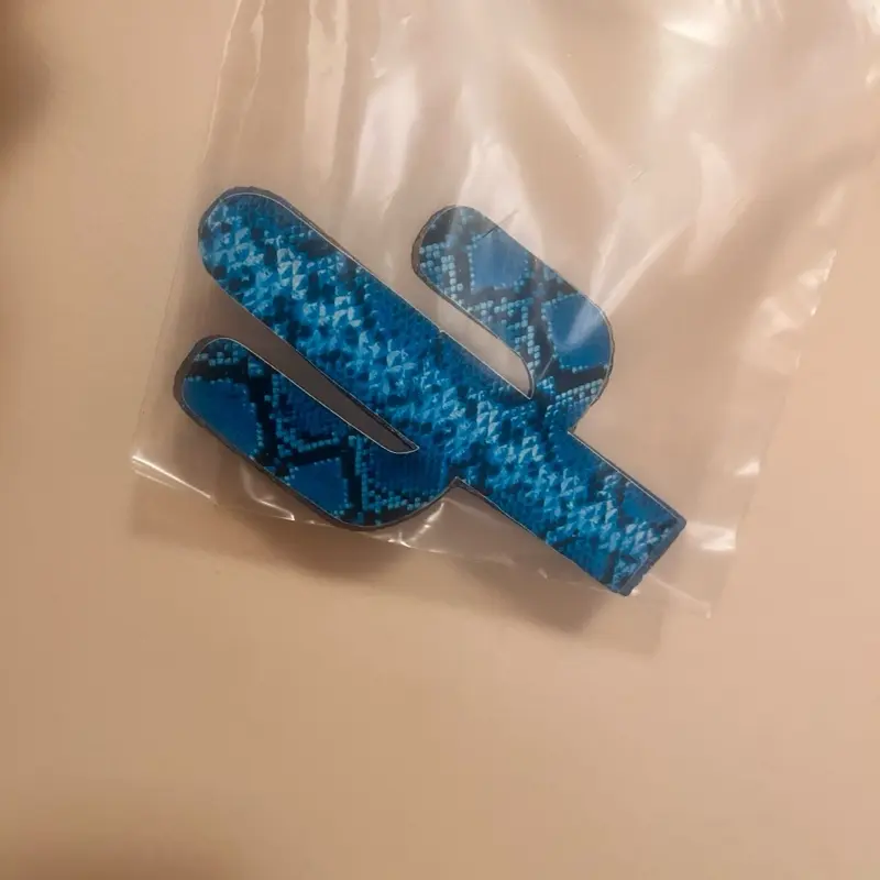 Cactus freshie
