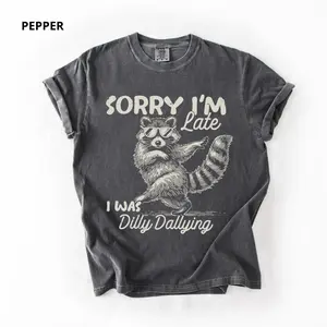 Comfort Colors Sorry I'm Late I Was Dilly Dallying Raccoon Shirt, Funny Raccoon Graphic Tee, Sarcastic Humor T-Shirt, Cute Woodland Animal Gift