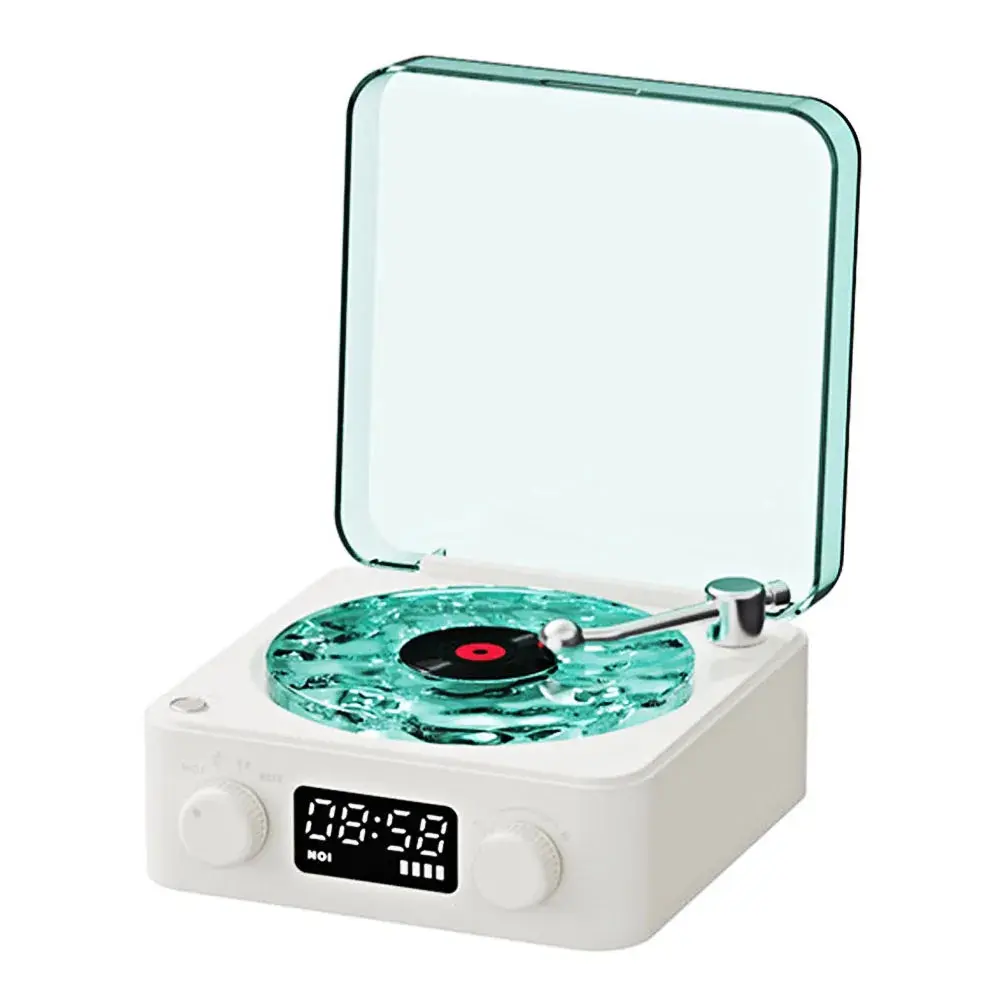 The Vinyl Player™
