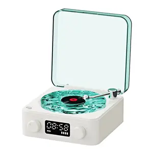 The Vinyl Player™