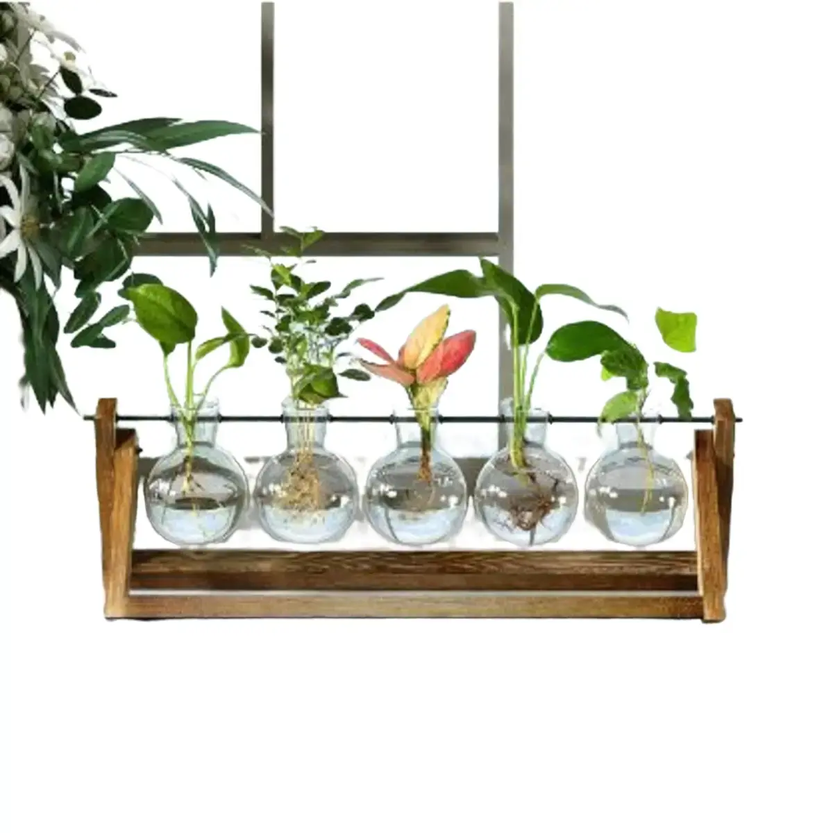 Plant Terrarium with Wooden Stand, Desktop Propagation Stations Glass Air Planter Metal Swivel Holder (5 Bulb Vase)