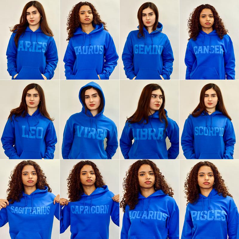 Hoodie:  Zodiac Puff Print Top Unisex Top, Pick Your Color!